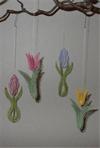 AN 0743 -744 Tulipan og Hyacint