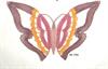 AN 0709 Stor sommerfugl